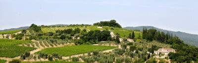 Rosso di Montalcino 2016 Baricci