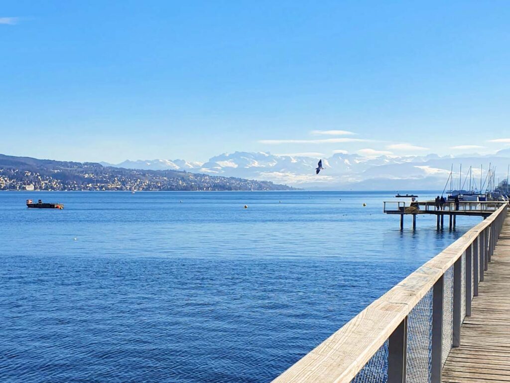 Wein Lieferung am Zürichsee — direkt an den Hafen, direkt aufs Boot Livraison de vin sur le lac de Zurich — directement au port, directement à bord Wine delivery on Lake Zurich — straight to the harbour, straight to your boat