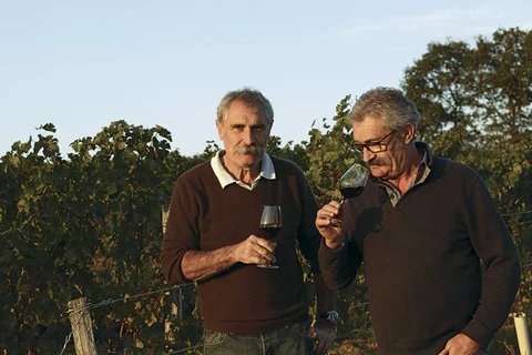 Looking for the Perfect Aged Wine? We've Already Found It for You!