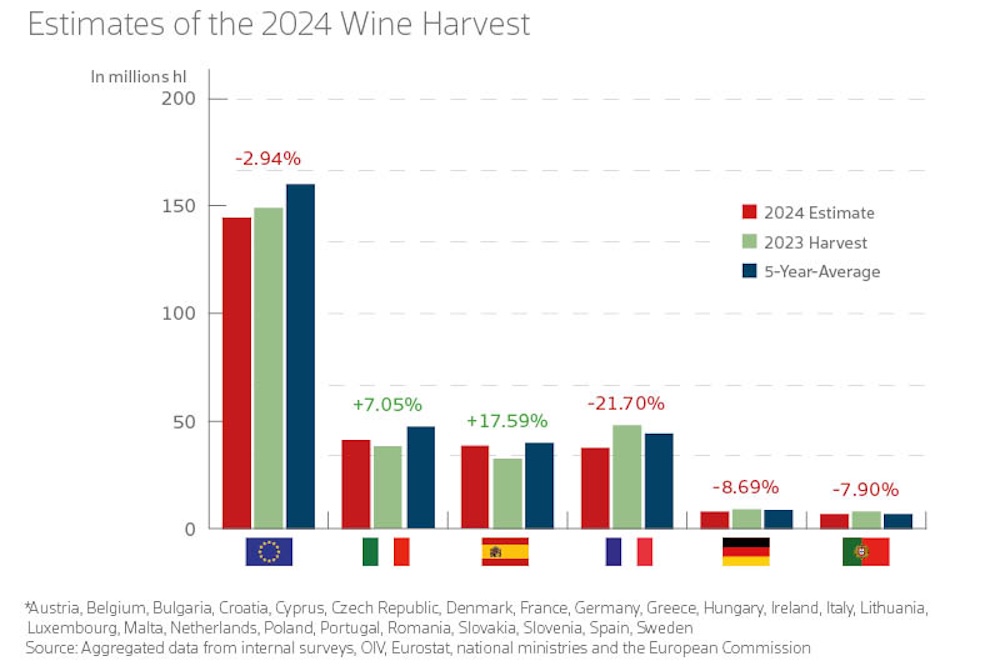 Vintage 2024: A Year of Challenges, an Exceptional Wine