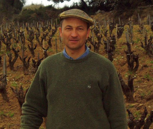 Looking for the Perfect Aged Wine? We've Already Found It for You!