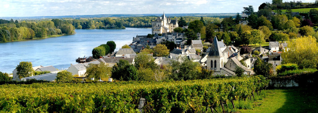 Loire Valley Wine