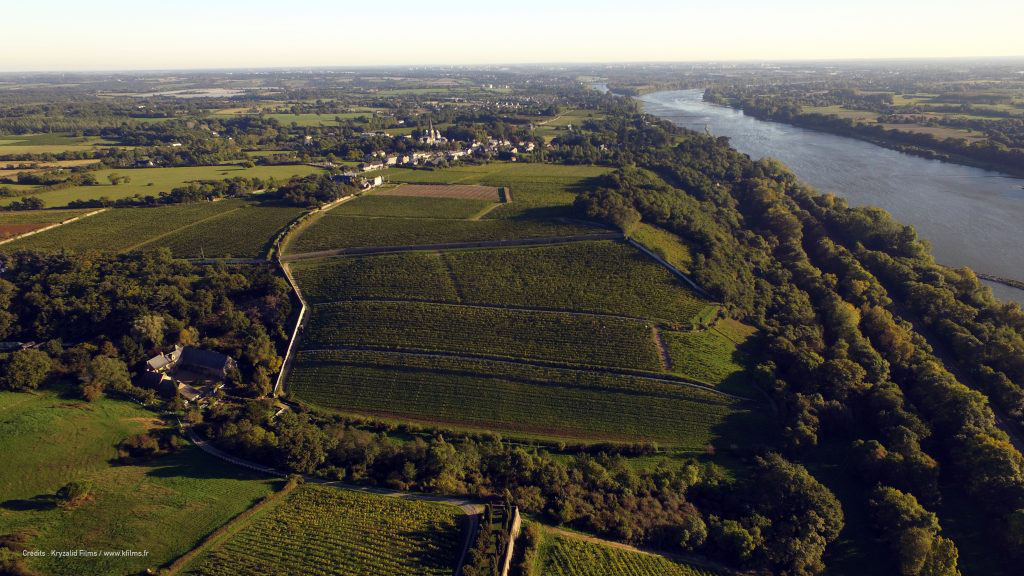 Spotlight on One of Our Talented Vignerons, Château de la Roche aux Moines