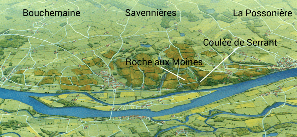 Spotlight on One of Our Talented Vignerons: Château de la Roche aux Moines
