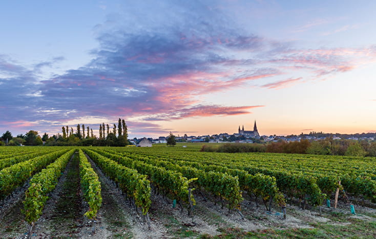 Clos-Rougeard