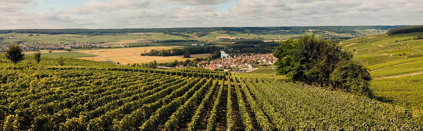 Louis Roederer