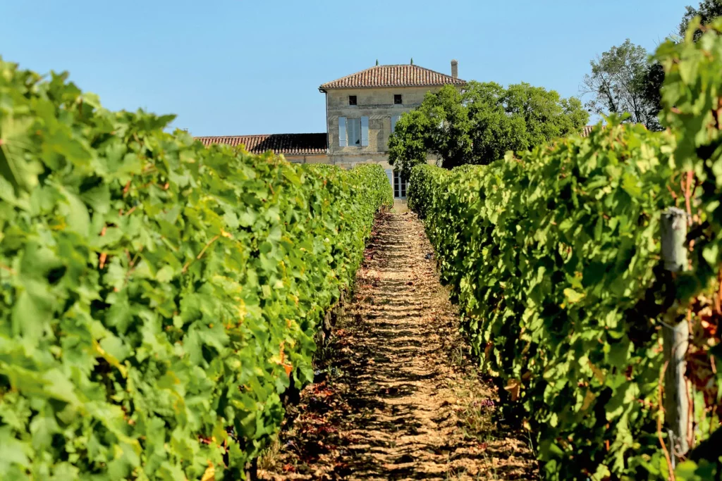 Why Château Lafleur is Ditching Pomerol for Vin de France Pourquoi Château Lafleur abandonne Pomerol pour le Vin de France Warum Château Lafleur Pomerol zugunsten von Vin de France aufgibt