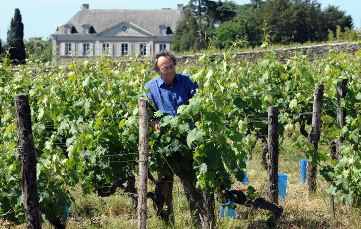 Absolument ! Voici la version française et allemande du billet de blog. Version Française Un Titan du Terroir : Nicolas Joly entre au Panthéon de Decanter ! Accrochez-vous à vos verres, amateurs de vin, car une véritable légende vient d'être couronnée ! 👑 L'unique et inimitable Nicolas Joly, le "pape de la biodynamie", a été intronisé au prestigieux Hall of Fame de Decanter pour 2025. C'est une reconnaissance immense pour un homme qui a non seulement produit certains des vins les plus incroyables du monde, mais qui a également initié un mouvement mondial en faveur d'une viticulture plus durable et plus expressive. De Wall Street à la Vigne : Un Parcours Atypique C'est une histoire qui ressemble presque à un scénario de film. Un banquier d'affaires brillant travaillant pour J.P. Morgan, diplômé de l'Université de Columbia, qui abandonne le monde de la finance pour reprendre le domaine viticole familial dans la Vallée de la Loire. C'est exactement ce que Nicolas Joly a fait en 1977 en revenant au domaine historique du Château de la Roche-aux-Moines. Au début, il a suivi la sagesse conventionnelle de l'agriculture moderne. Mais il a rapidement vu la vie se drainer de ses vignes. La couleur du sol changeait, les insectes disparaissaient et la terre devenait silencieuse. Ce n'était pas l'écosystème vibrant qu'il savait qu'elle pouvait être. La Révolution Biodynamique : Un Nouvel Espoir Heureusement, Joly est tombé sur les écrits du philosophe Rudolf Steiner et les principes de l'agriculture biodynamique. C'était une idée radicale à l'époque, une approche qui considérait le vignoble comme un organisme vivant et interconnecté. Joly l'a adoptée sans réserve, convertissant tout son domaine dès 1984. Il était un pionnier, un homme en avance sur son temps. Alors que d'autres le considéraient comme un excentrique, les plus grands vignerons de France ont commencé à s'intéresser à son travail. La passion et l'éloquence de Joly pour expliquer la philosophie de la biodynamie – celle de connecter la vigne aux rythmes de la terre et du cosmos – étaient contagieuses. Il a ensuite fondé "Renaissance des Appellations", une organisation qui regroupe aujourd'hui plus de 230 domaines viticoles partageant les mêmes idées dans le monde entier, tous dédiés à la production de vins fidèles à leur terroir. Le Joyau de la Couronne : La Coulée de Serrant Au cœur du domaine de Joly se trouve un véritable trésor : le Clos de la Coulée de Serrant. Ce vignoble de 7 hectares est si spécial qu'il est l'un des très rares monopoles à posséder sa propre Appellation d'Origine Contrôlée. Planté par des moines cisterciens au XIIe siècle, ce vignoble a toujours été en vigne, un témoignage de son terroir exceptionnel. Les vins de la Coulée de Serrant sont légendaires, souvent cités parmi les plus grands vins blancs secs du monde. Goûtez l'Héritage L'intronisation de Nicolas Joly au Hall of Fame de Decanter est la célébration d'une vie dédiée à un vin authentique et vivant. C'est une victoire pour tous ceux qui croient que le vin doit être le reflet de son terroir, une pure expression du sol, du climat et de l'âme de la vigne. Nous sommes incroyablement fiers de proposer les vins de ce vigneron visionnaire. Pour découvrir par vous-même l'énergie et la complexité des créations de Nicolas Joly, nous vous invitons à explorer notre sélection du Château de la Roche-aux-Moines. Découvrez notre sélection de Nicolas Joly ici ! Trinquons à Nicolas Joly, un véritable héros du monde du vin ! 🍷 Deutsche Version Ein Titan des Terroirs: Nicolas Joly zieht in die Decanter Hall of Fame ein!