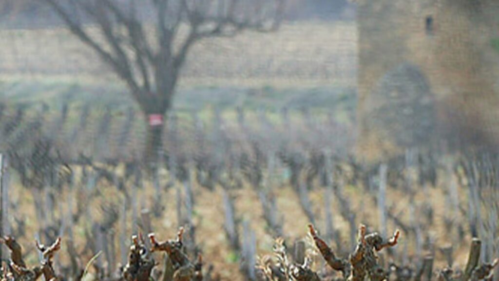 Abschied vom Meister von Rayas: Emmanuel Reynaud, eine Legende von Châteauneuf-du-Pape, ist von uns gegangen
